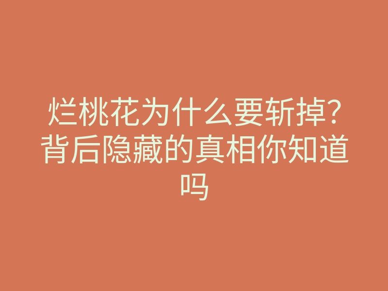 烂桃花为什么要斩掉？背后隐藏的真相你知道吗