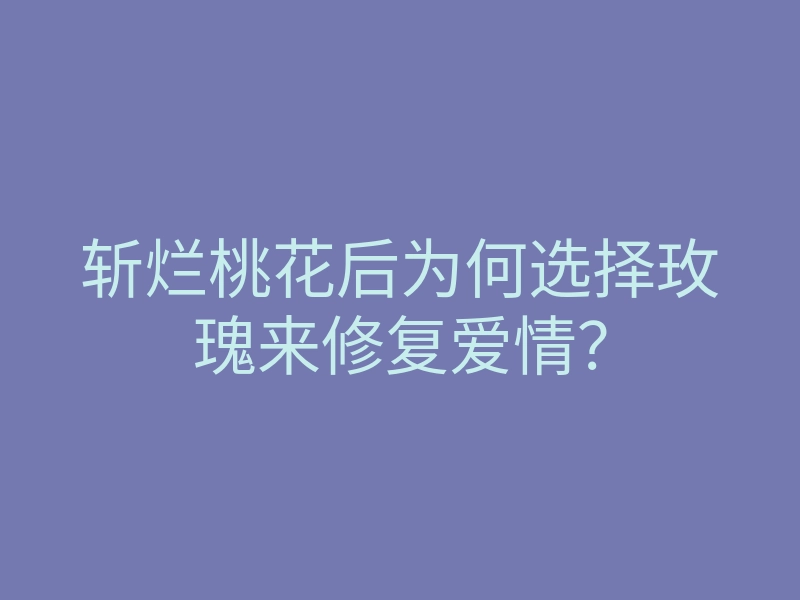 斩烂桃花后为何选择玫瑰来修复爱情?