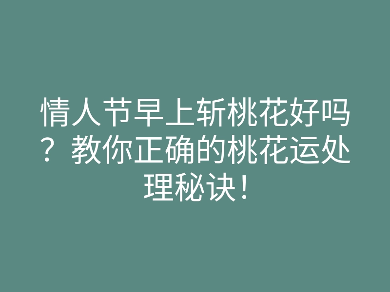 情人节早上斩桃花好吗?教你正确的桃花运处理秘诀!