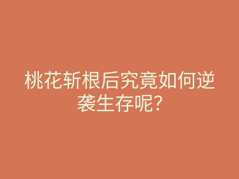 桃花斩根后究竟如何逆袭生存呢?