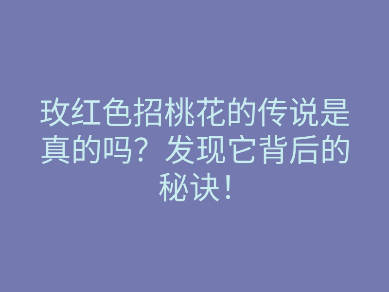 玫红色招桃花的传说是真的吗?发现它背后的秘诀!