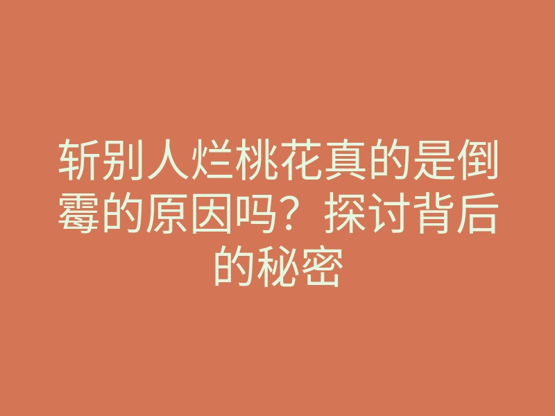 斩别人烂桃花真的是倒霉的原因吗?探讨背后的秘密