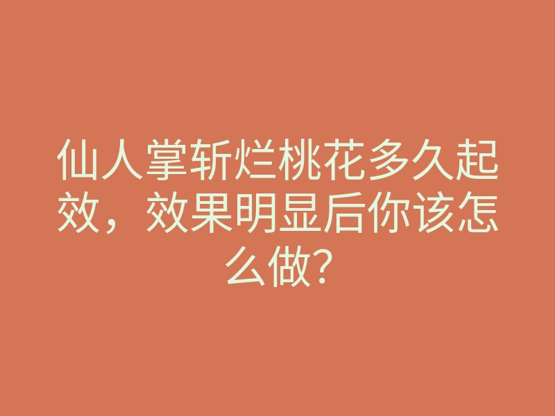 仙人掌斩烂桃花多久起效,效果明显后你该怎么做?
