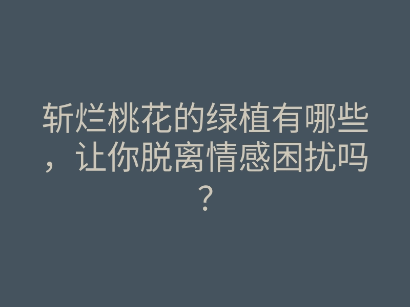 斩烂桃花的绿植有哪些,让你脱离情感困扰吗?