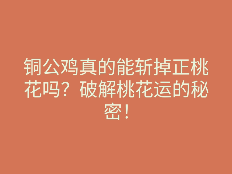 铜公鸡真的能斩掉正桃花吗?破解桃花运的秘密!