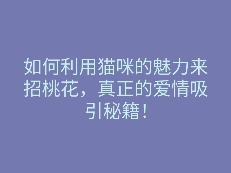如何利用猫咪的魅力来招桃花,真正的爱情吸引秘籍!