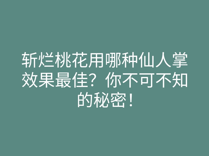 斩烂桃花用哪种仙人掌效果最佳？你不可不知的秘密！