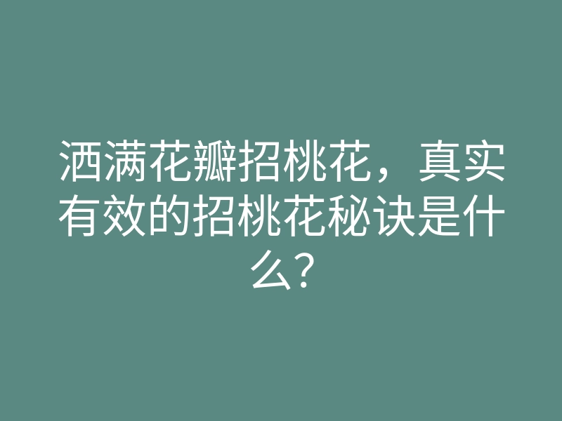 洒满花瓣招桃花，真实有效的招桃花秘诀是什么？