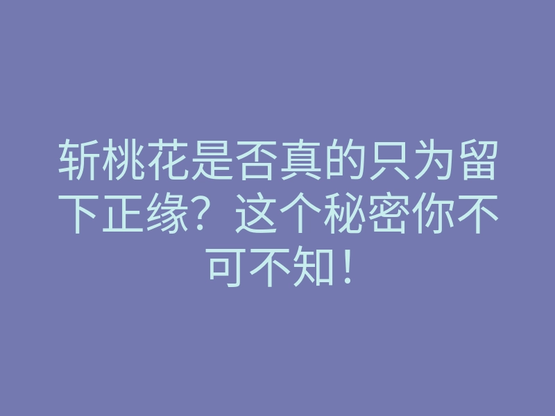斩桃花是否真的只为留下正缘?这个秘密你不可不知!
