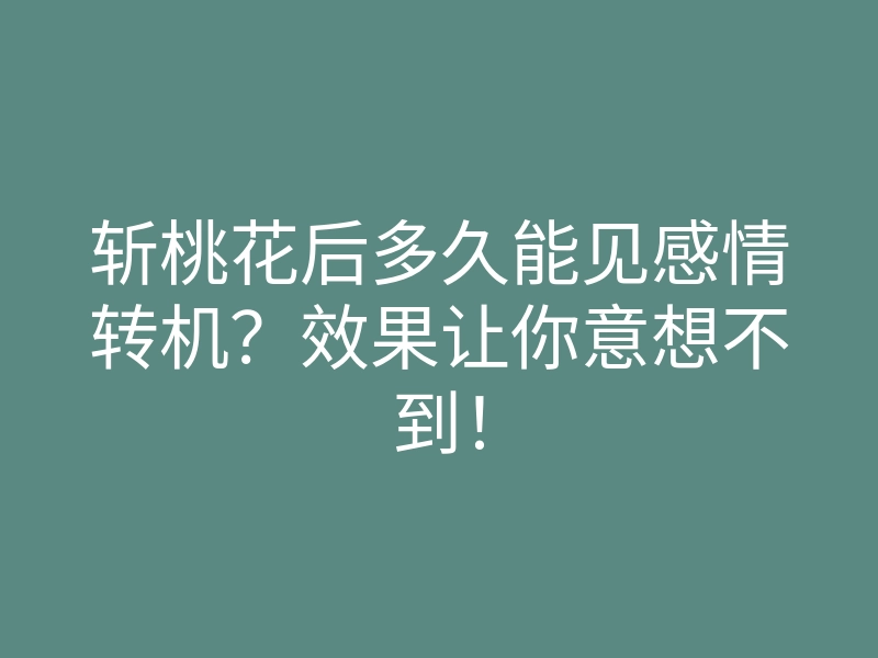 斩桃花后多久能见感情转机?效果让你意想不到!