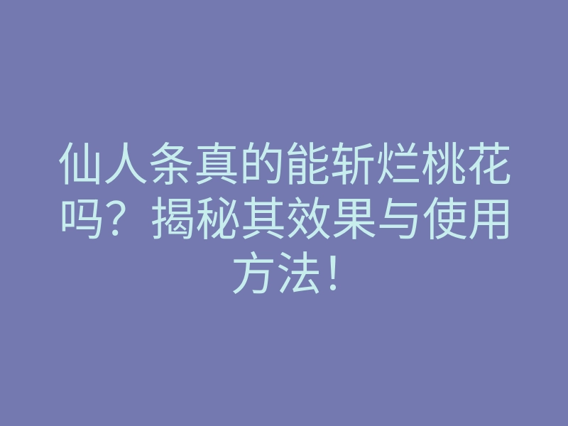 仙人条真的能斩烂桃花吗?揭秘其效果与使用方法!