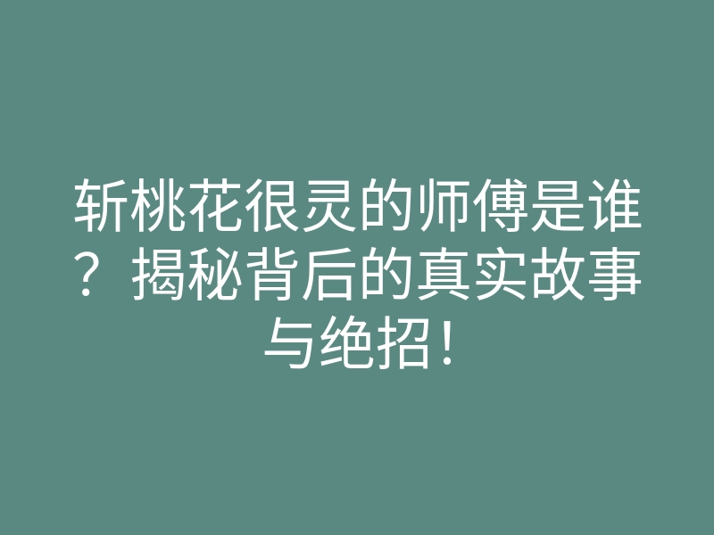 斩桃花很灵的师傅是谁?揭秘背后的真实故事与绝招!