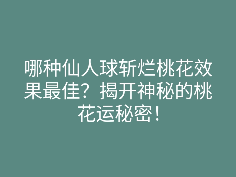 哪种仙人球斩烂桃花效果最佳?揭开神秘的桃花运秘密!