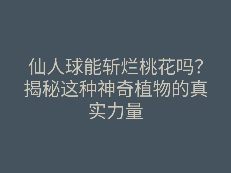仙人球能斩烂桃花吗?揭秘这种神奇植物的真实力量