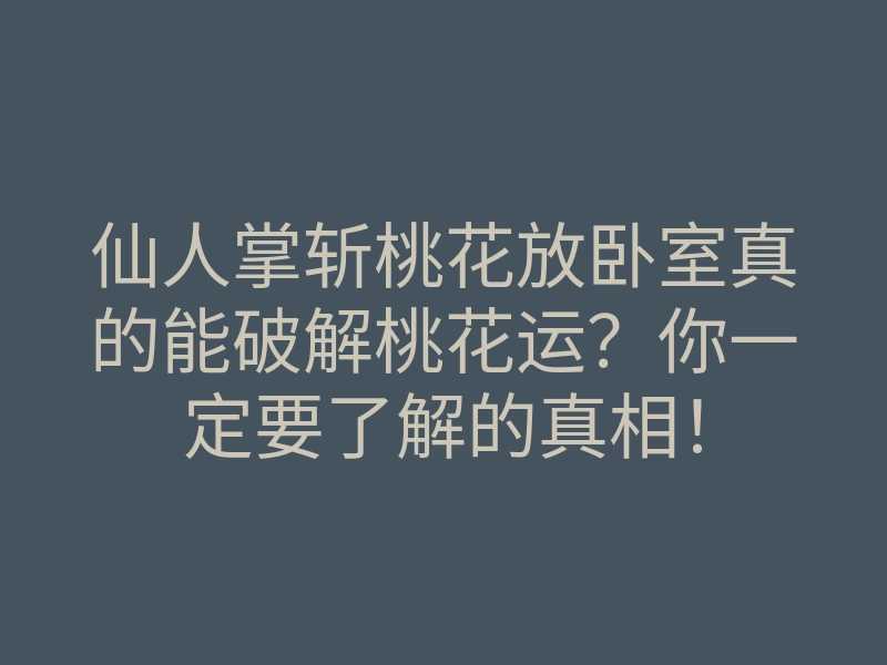 仙人掌斩桃花放卧室真的能破解桃花运?你一定要了解的真相!