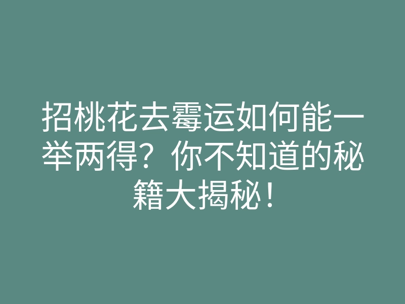 招桃花去霉运如何能一举两得?你不知道的秘籍大揭秘!