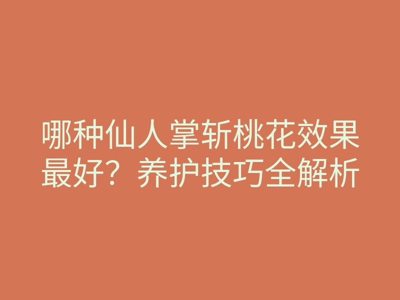 哪种仙人掌斩桃花效果最好?养护技巧全解析