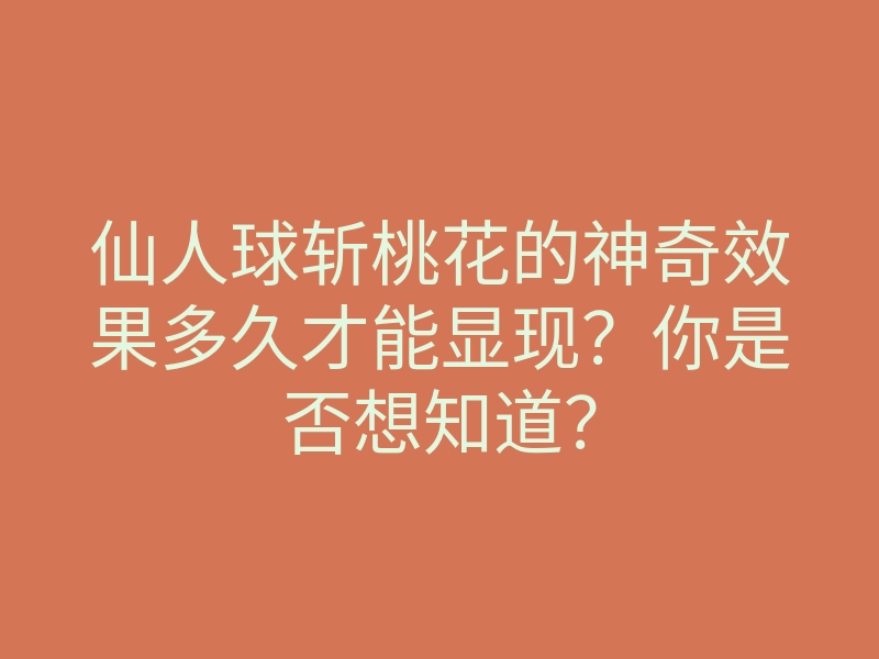 仙人球斩桃花的神奇效果多久才能显现?你是否想知道?