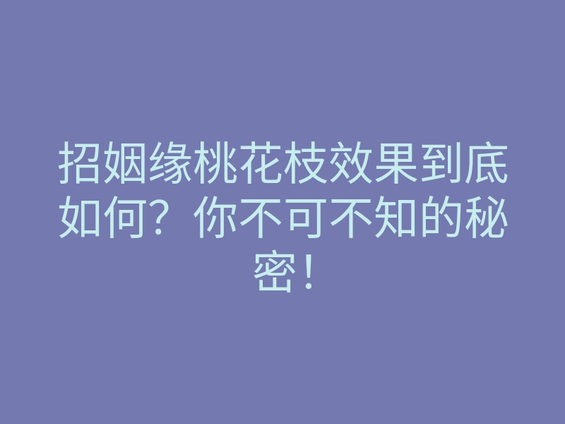 招姻缘桃花枝效果到底如何?你不可不知的秘密!