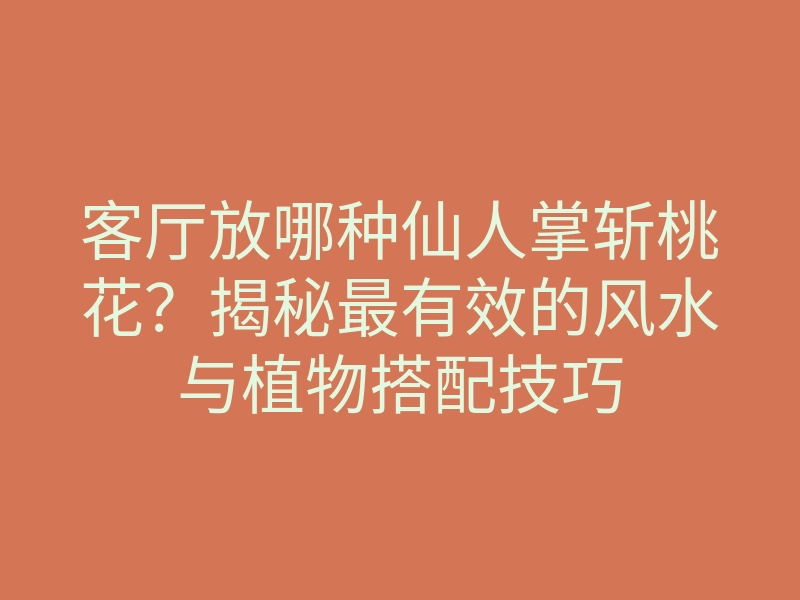 客厅放哪种仙人掌斩桃花?揭秘最有效的风水与植物搭配技巧