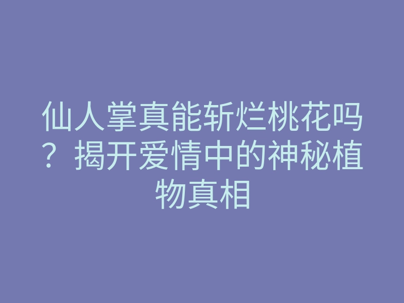 仙人掌真能斩烂桃花吗?揭开爱情中的神秘植物真相