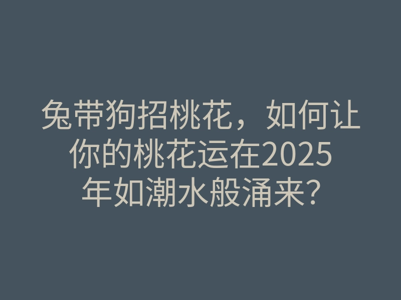兔带狗招桃花，如何让你的桃花运在2025年如潮水般涌来？