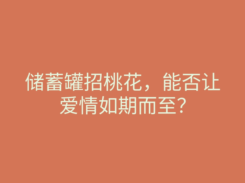 储蓄罐招桃花,能否让爱情如期而至?