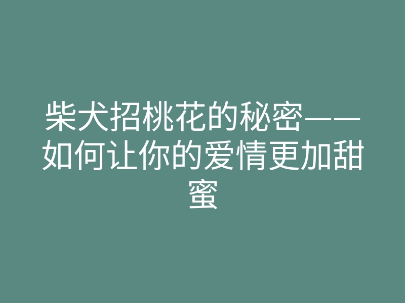 柴犬招桃花的秘密——如何让你的爱情更加甜蜜