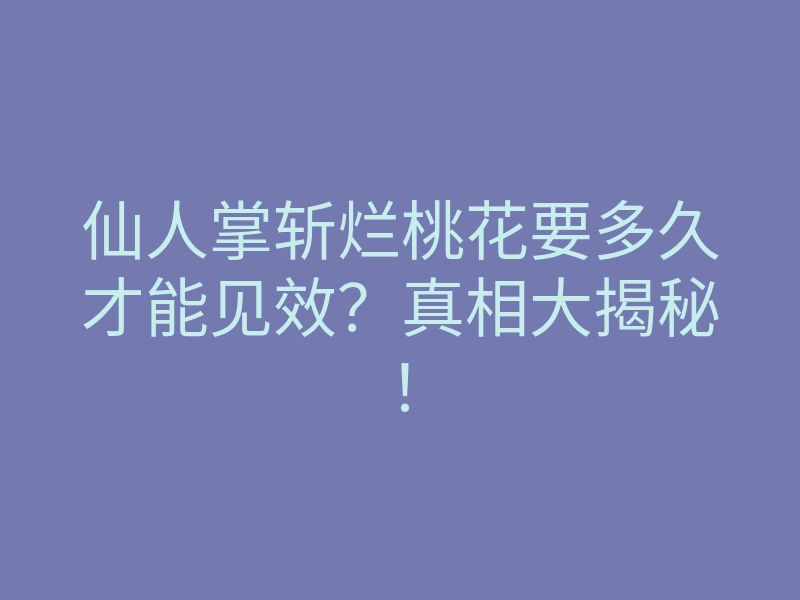 仙人掌斩烂桃花要多久才能见效?真相大揭秘!