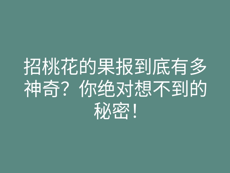 招桃花的果报到底有多神奇?你绝对想不到的秘密!