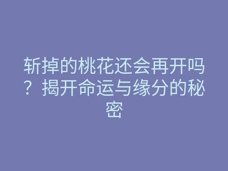 斩掉的桃花还会再开吗?揭开命运与缘分的秘密