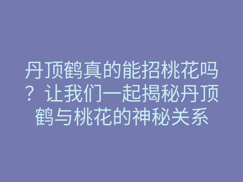 丹顶鹤真的能招桃花吗？让我们一起揭秘丹顶鹤与桃花的神秘关系