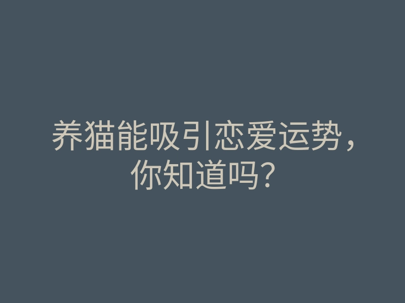 养猫能吸引恋爱运势,你知道吗?