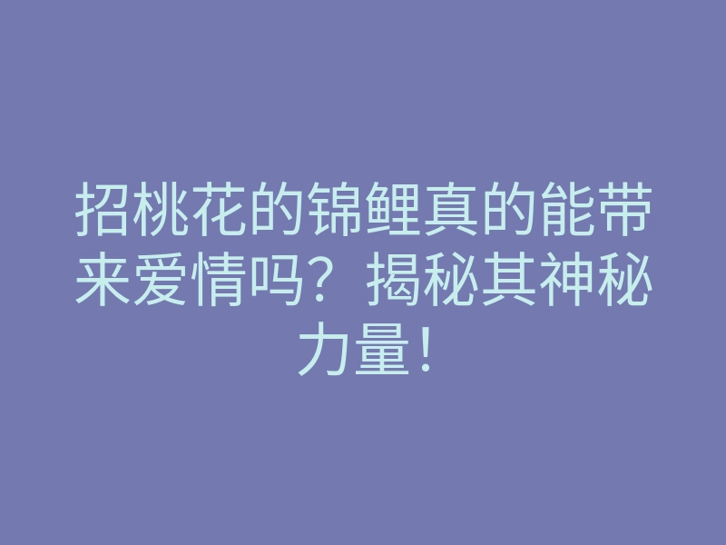 招桃花的锦鲤真的能带来爱情吗?揭秘其神秘力量!
