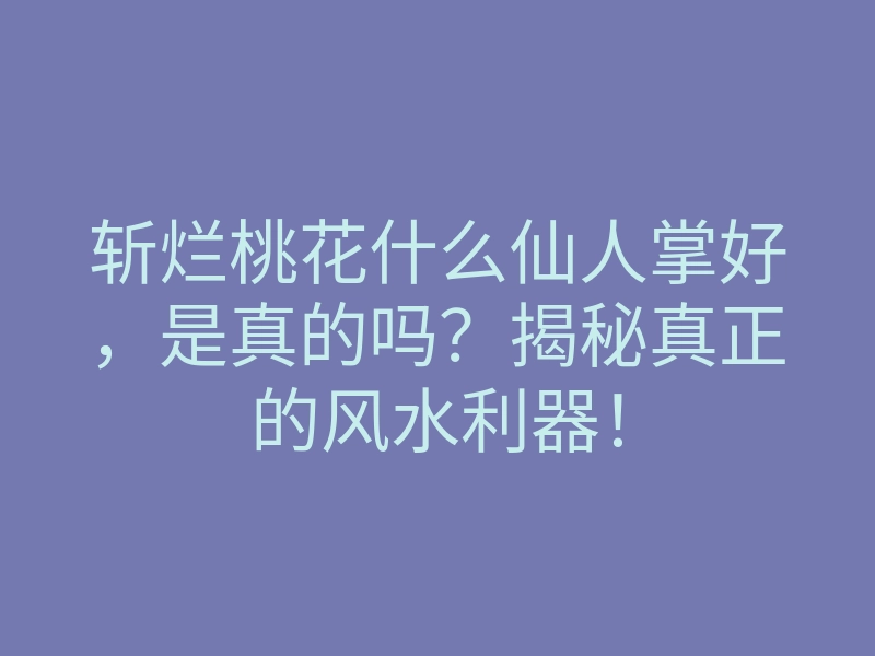 斩烂桃花什么仙人掌好,是真的吗?揭秘真正的风水利器!