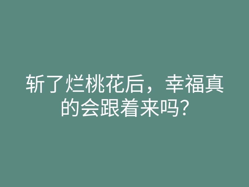 斩了烂桃花后,幸福真的会跟着来吗?