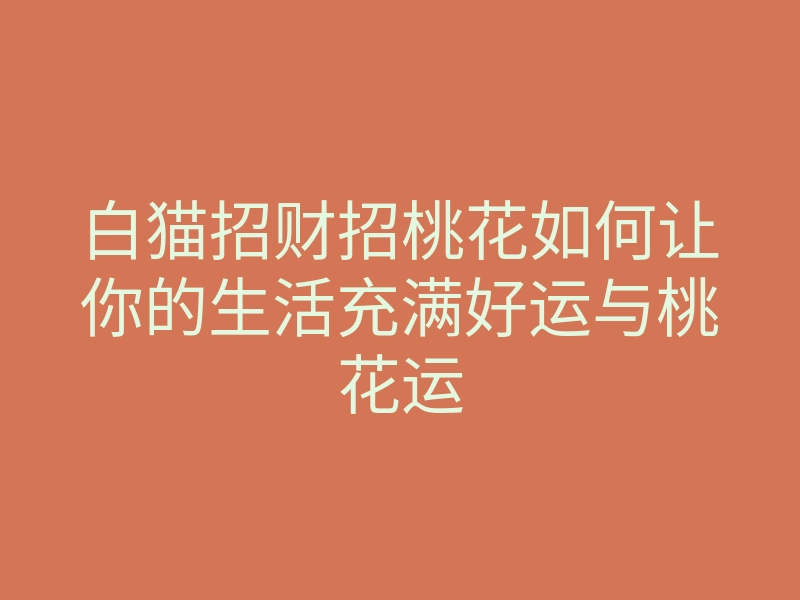 白猫招财招桃花如何让你的生活充满好运与桃花运