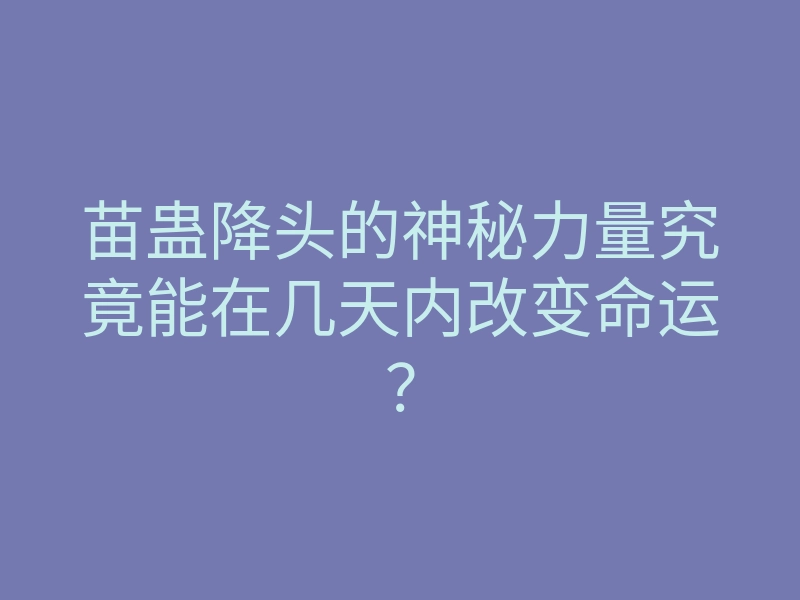 苗蛊降头的神秘力量究竟能在几天内改变命运？