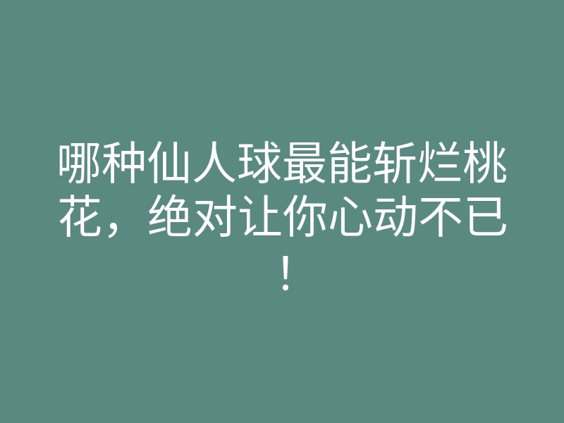 哪种仙人球最能斩烂桃花,绝对让你心动不已!