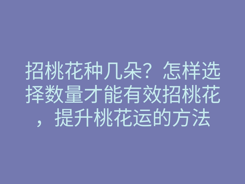 招桃花种几朵?怎样选择数量才能有效招桃花,提升桃花运的方法
