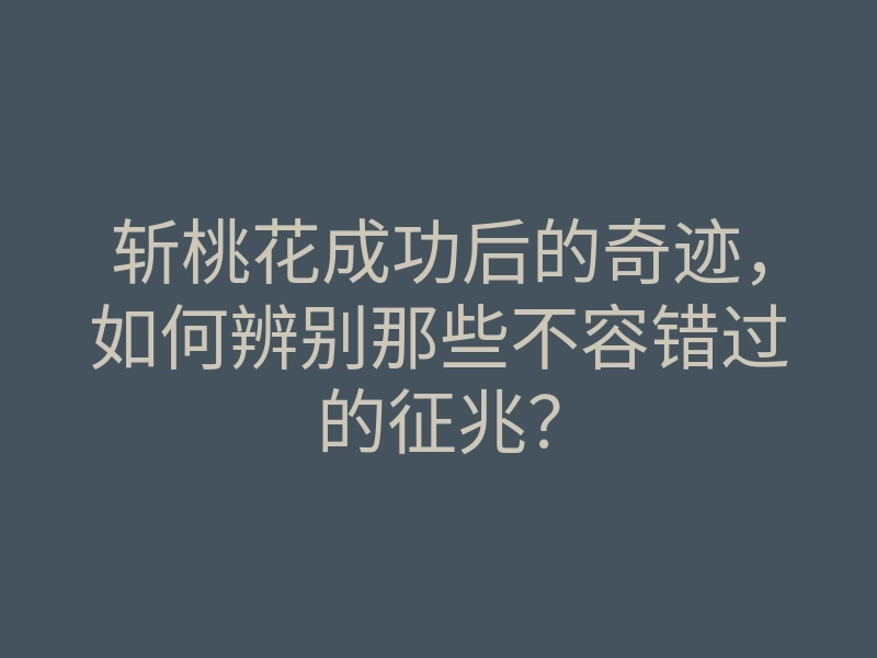 斩桃花成功后的奇迹,如何辨别那些不容错过的征兆?