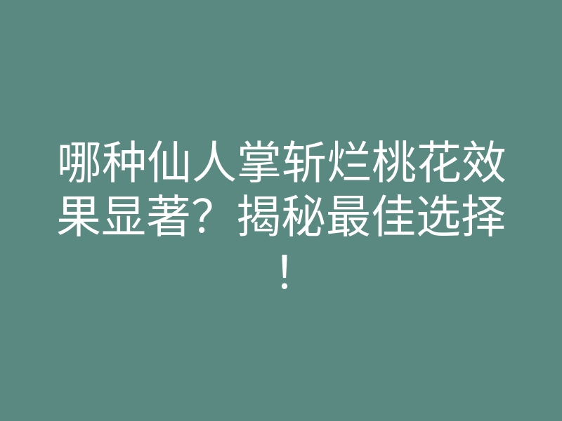 哪种仙人掌斩烂桃花效果显著?揭秘最佳选择!