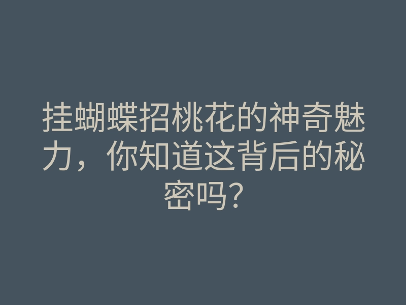 挂蝴蝶招桃花的神奇魅力,你知道这背后的秘密吗?