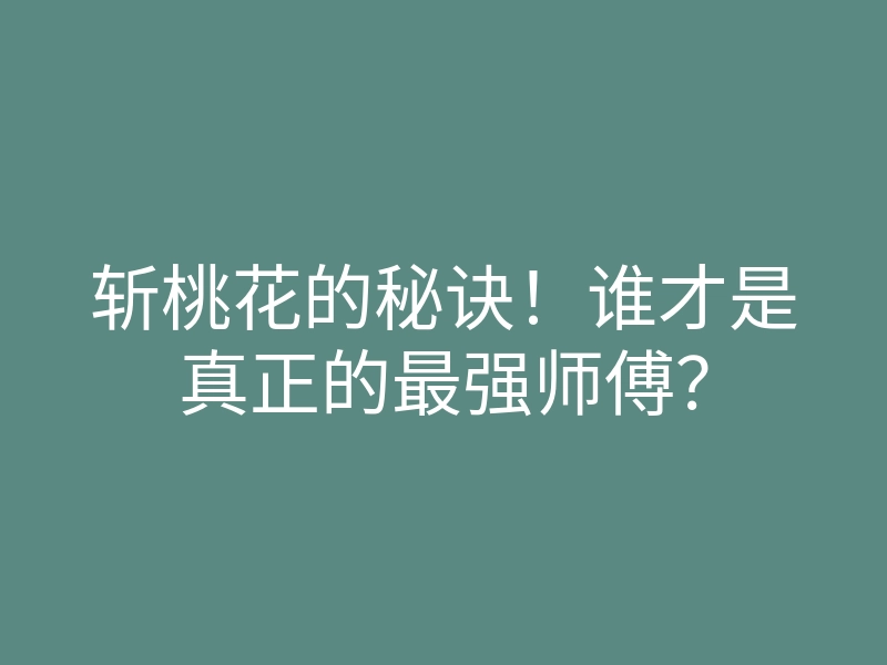 斩桃花的秘诀!谁才是真正的最强师傅?