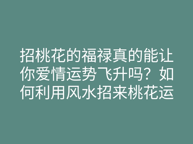 招桃花的福禄真的能让你爱情运势飞升吗?如何利用风水招来桃花运?