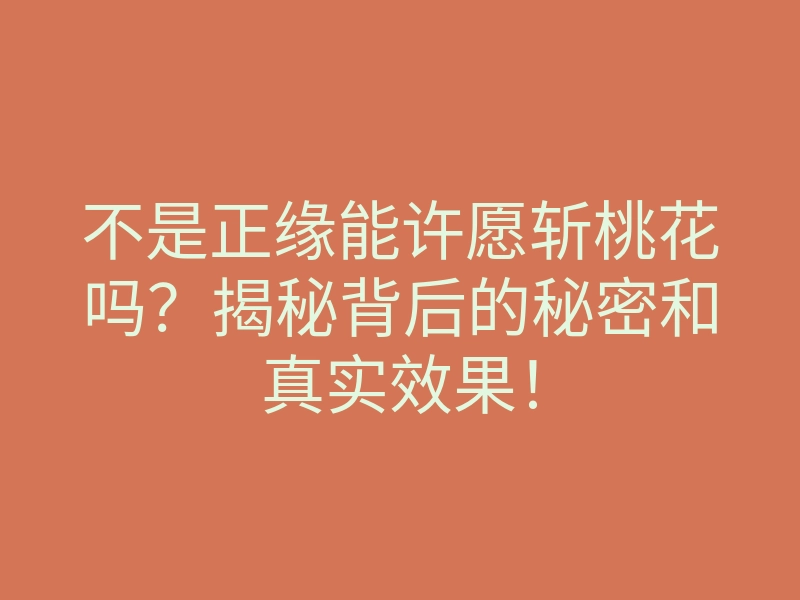 不是正缘能许愿斩桃花吗?揭秘背后的秘密和真实效果!