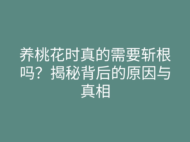 养桃花时真的需要斩根吗？揭秘背后的原因与真相