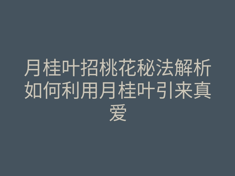 月桂叶招桃花秘法解析如何利用月桂叶引来真爱
