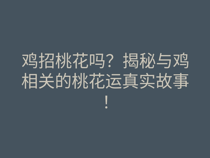 鸡招桃花吗?揭秘与鸡相关的桃花运真实故事!