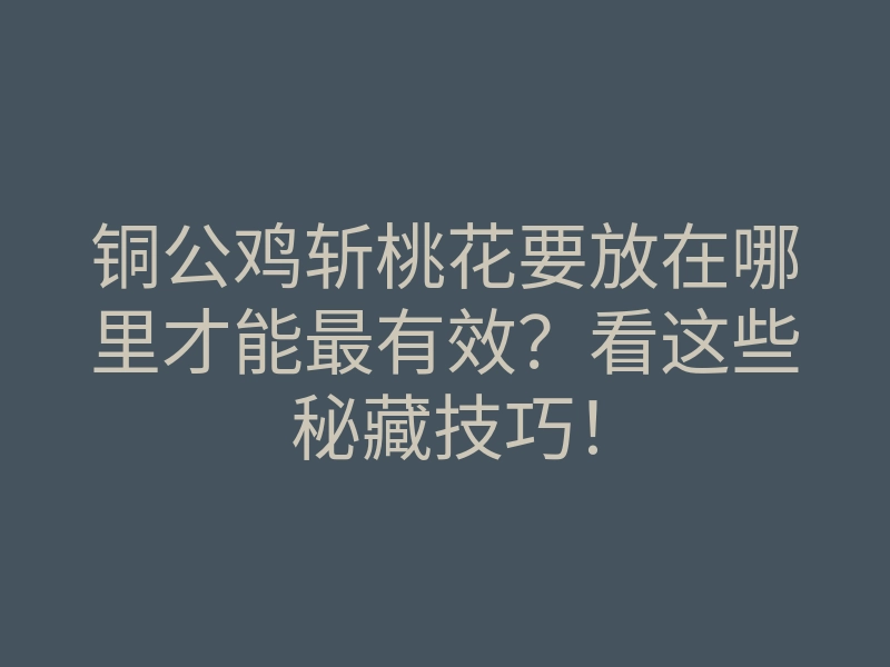 铜公鸡斩桃花要放在哪里才能最有效?看这些秘藏技巧!